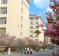 球盟会官网-青岛黄海与重庆比分